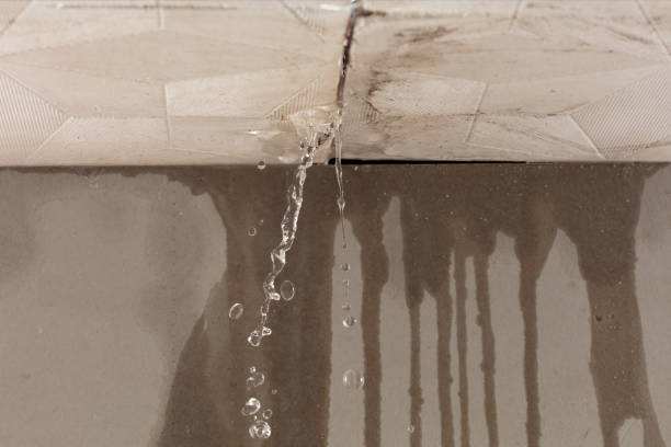 Professional Water Damage Repair technician working in Solon Springs, WI